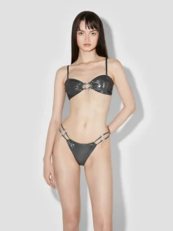 Hollywood Bikini Briefs