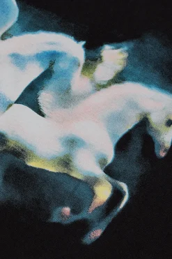 Horses Longsleeve